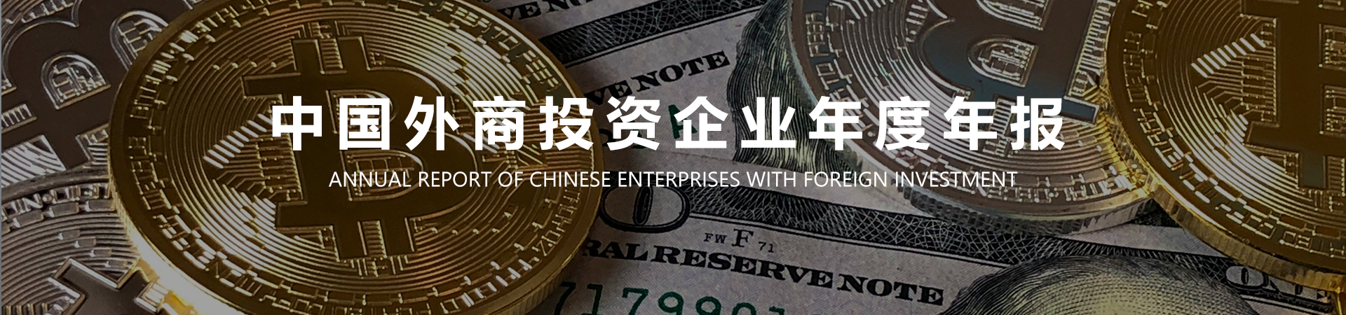 中国外商投资企业年度年报.jpg
